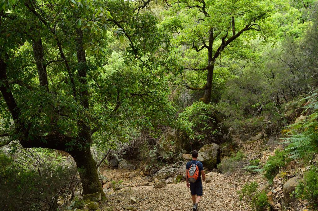 El Colmenar Casa Rural Ahoraya מראה חיצוני תמונה