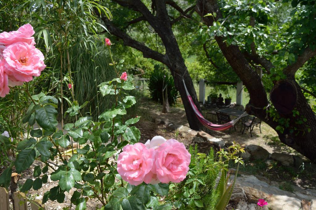 El Colmenar Casa Rural Ahoraya מראה חיצוני תמונה