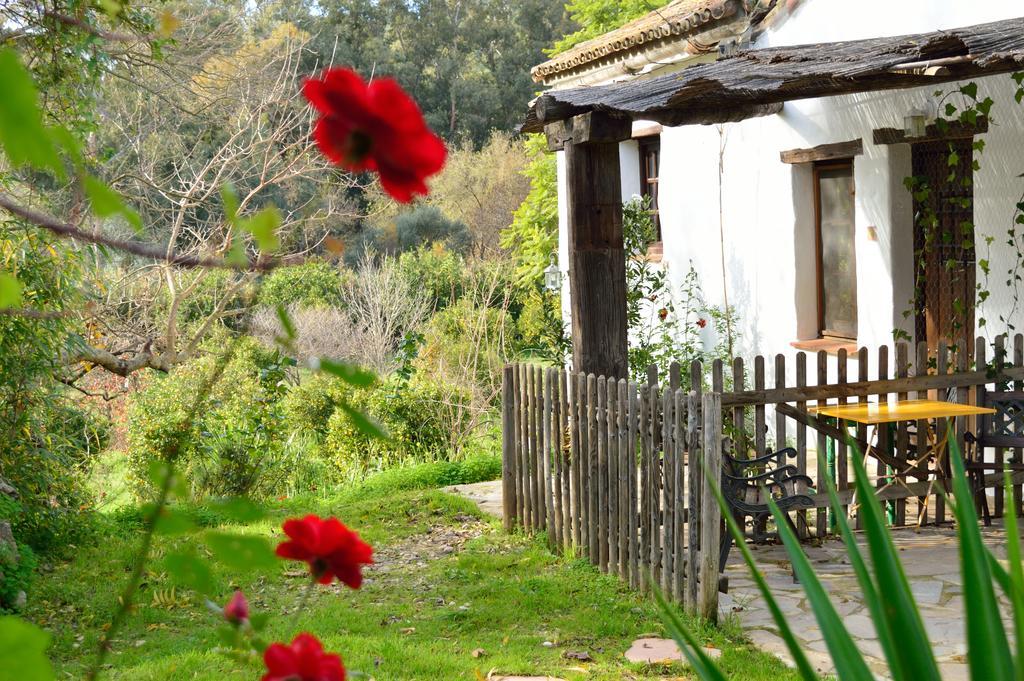 El Colmenar Casa Rural Ahoraya מראה חיצוני תמונה