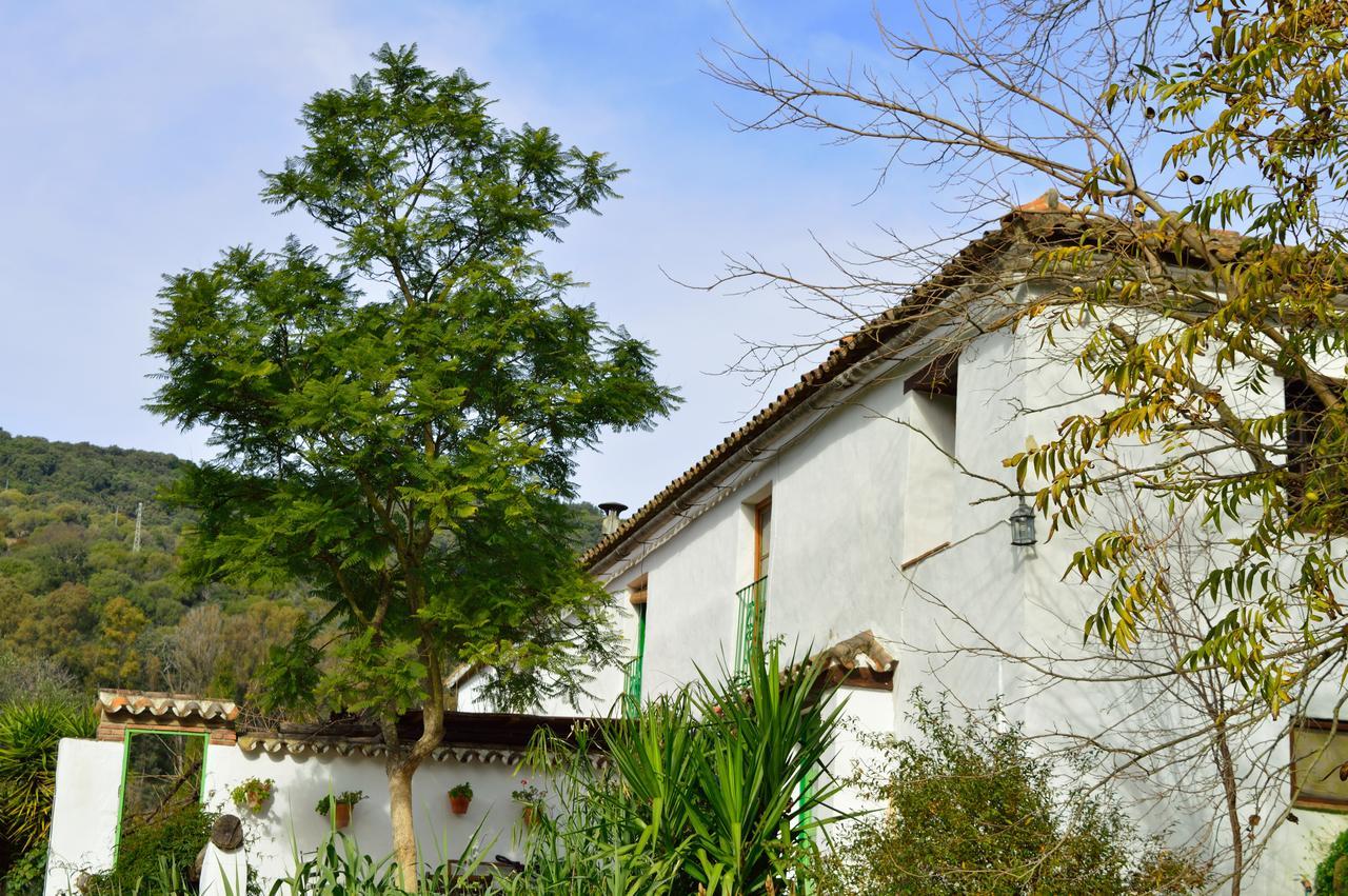 El Colmenar Casa Rural Ahoraya מראה חיצוני תמונה