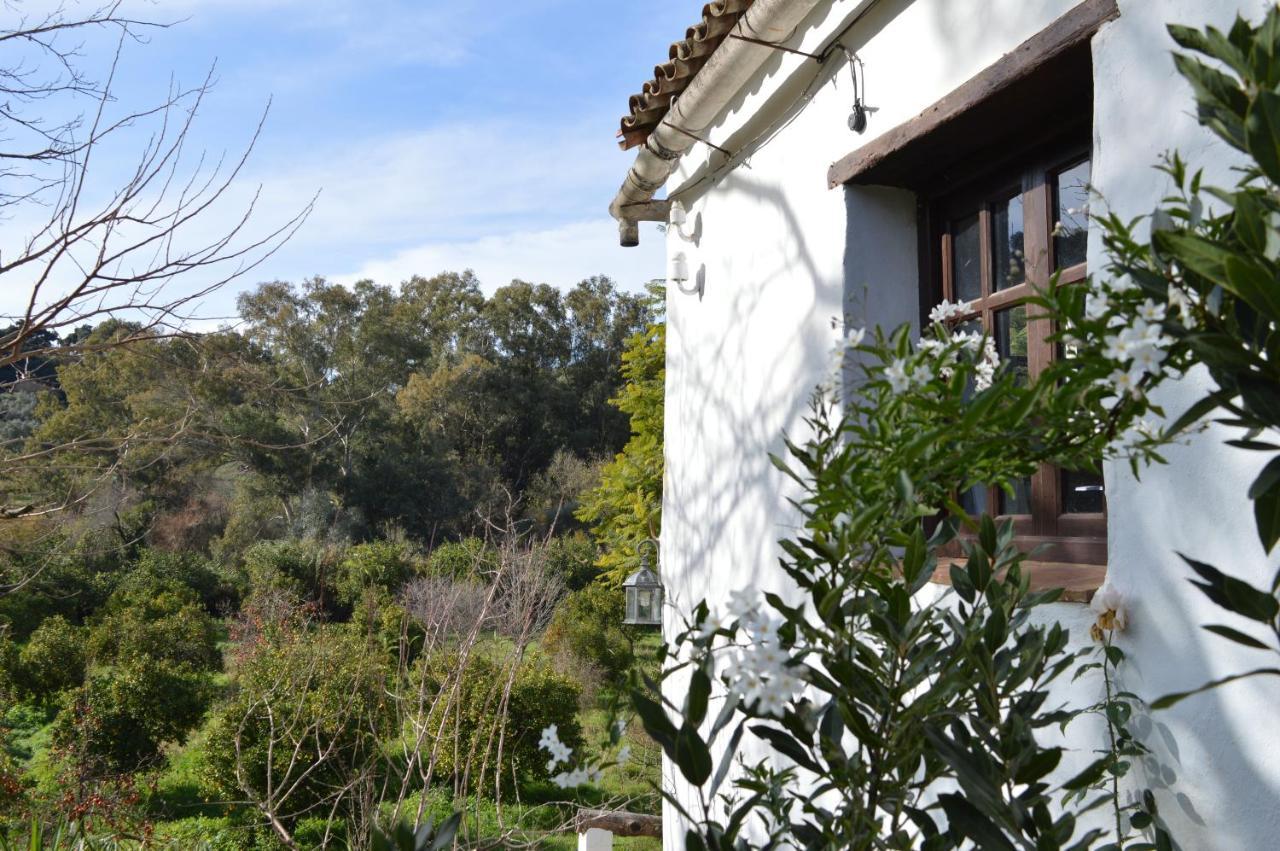 El Colmenar Casa Rural Ahoraya מראה חיצוני תמונה